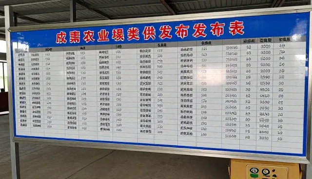 信息管理系统查询性能优化与适用场景分析