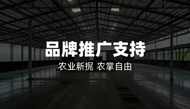 品牌推广支持中的维护策略与实际操作环节