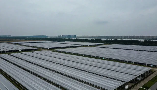 太原网站建设趋势分析与品牌推广支持策略